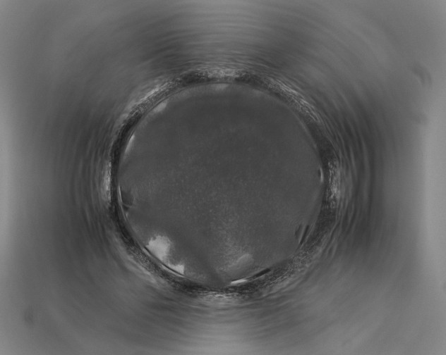 X0000112880494200909111446