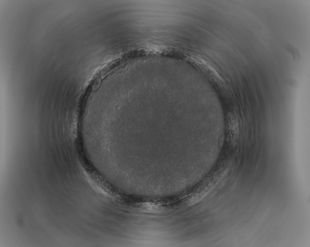 X0000112880496200909111446