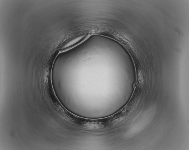 X0000112880499200909111446