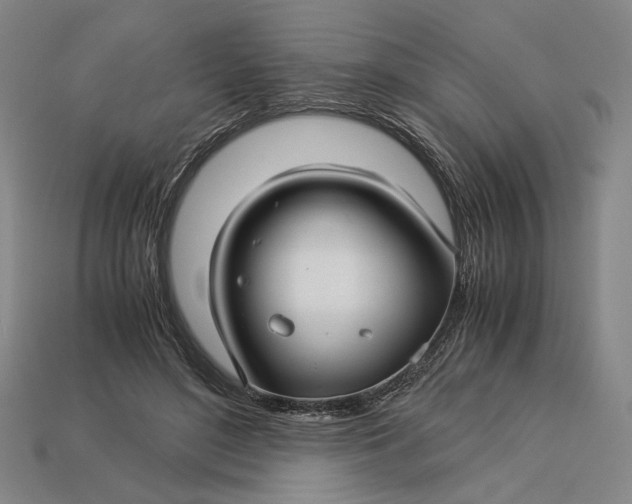 X0000112880500200909111446