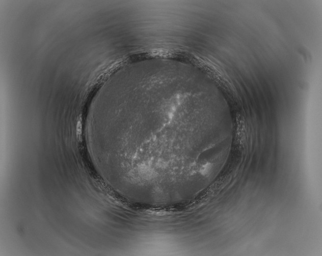 X0000112880502200909111446