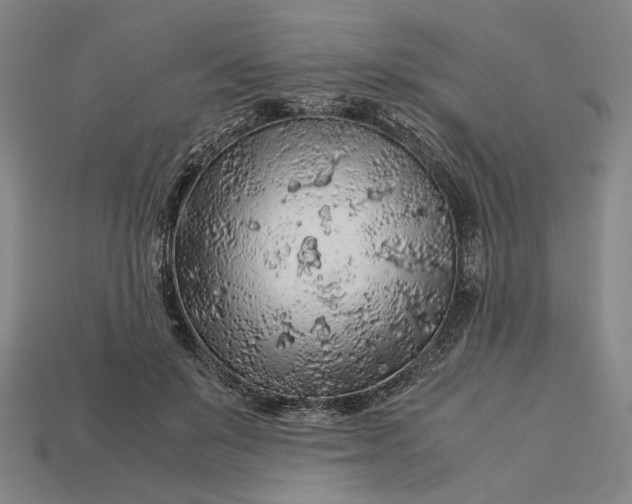 X0000112880503200909111446