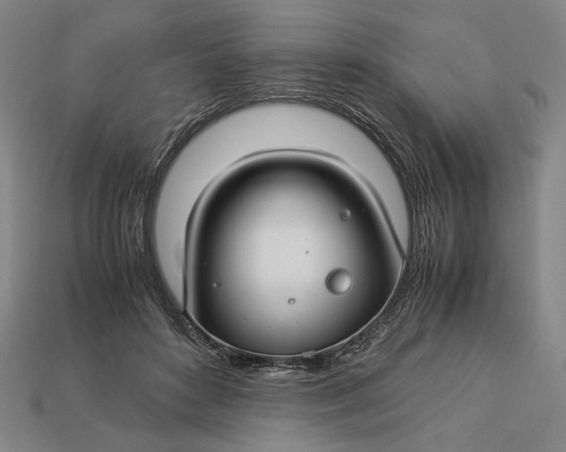 X0000112880504200909111446