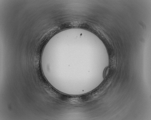 X0000112880505200909111446