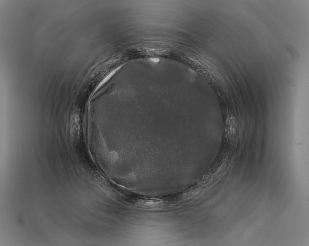 X0000112880506200909111446