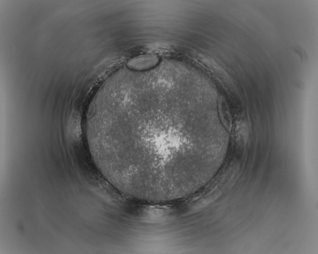 X0000112880508200909111446