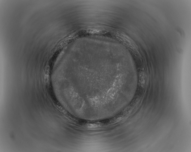 X0000112880510200909111446