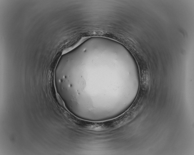 X0000112880511200909111446