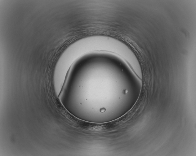 X0000112880513200909111446