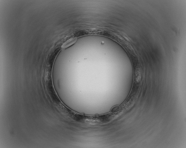 X0000112880515200909111446