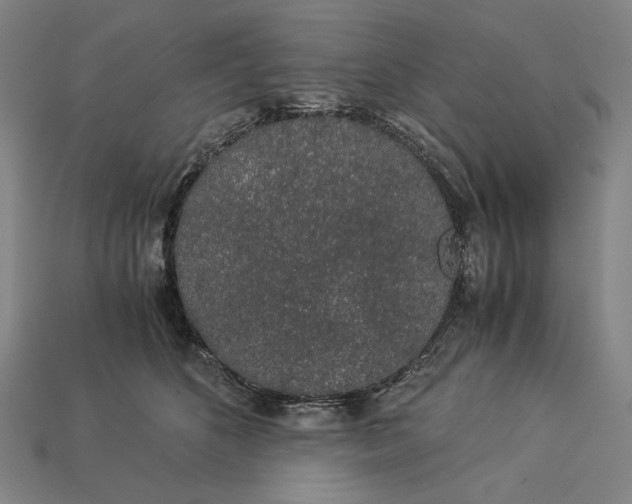 X0000112880516200909111446