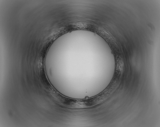 X0000112880518200909111446