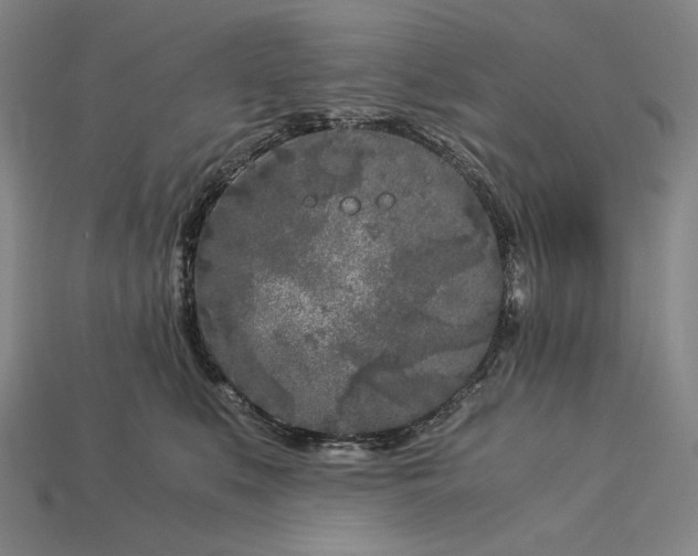 X0000112880519200909111446