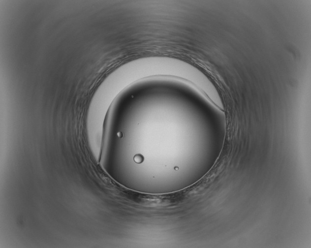 X0000112880521200909111446