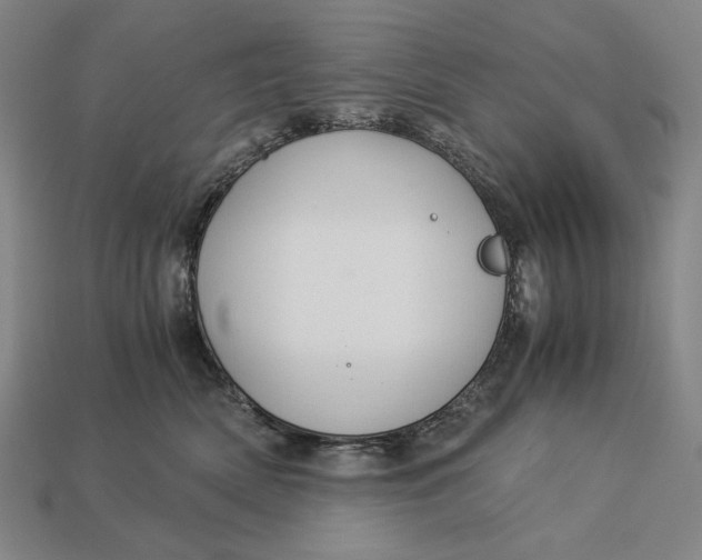 X0000112880522200909111446