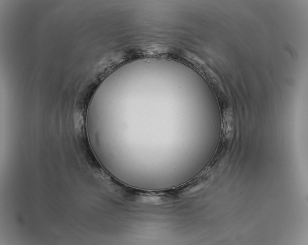 X0000112880523200909111446