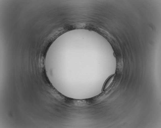 X0000112880525200909111446