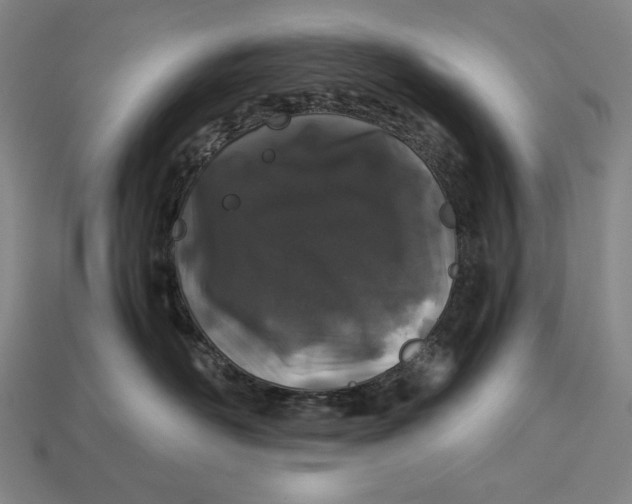 X0000112880526200909111446