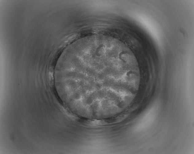 X0000112880527200909111446