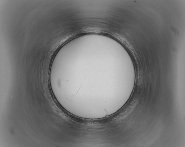 X0000112880529200909111445