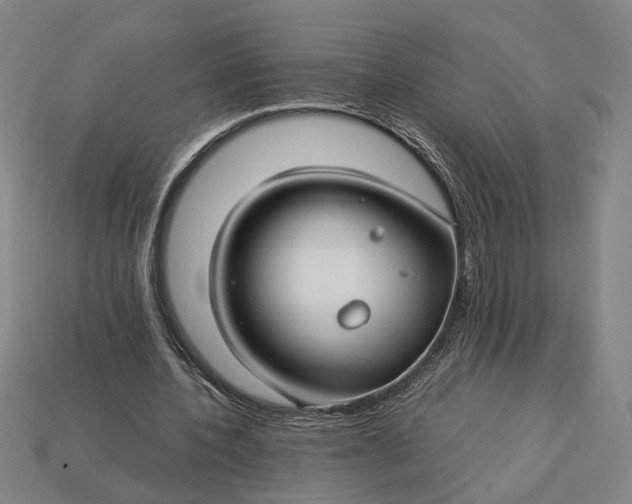 X0000112880532200909111445