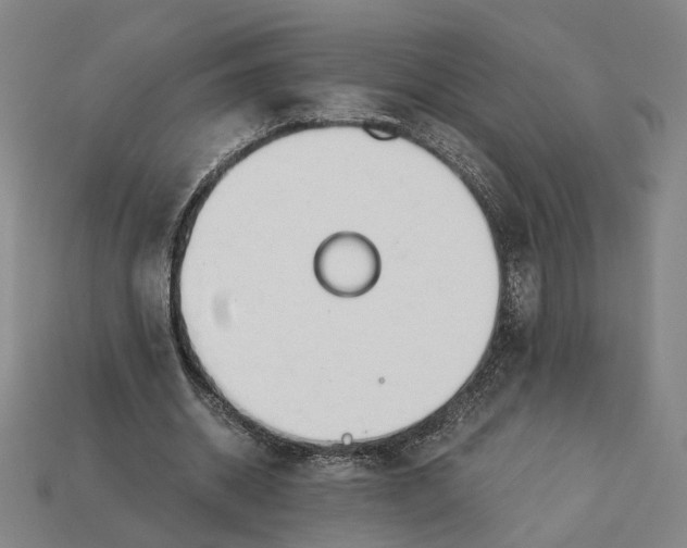 X0000112880534200909111445