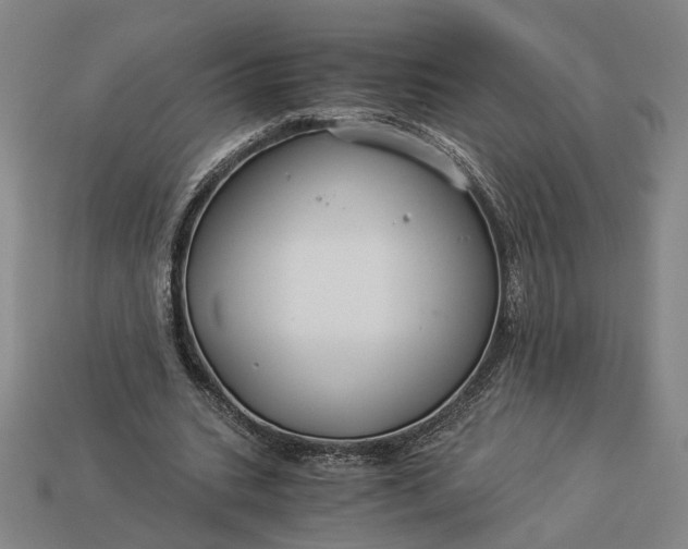 X0000112880535200909111445