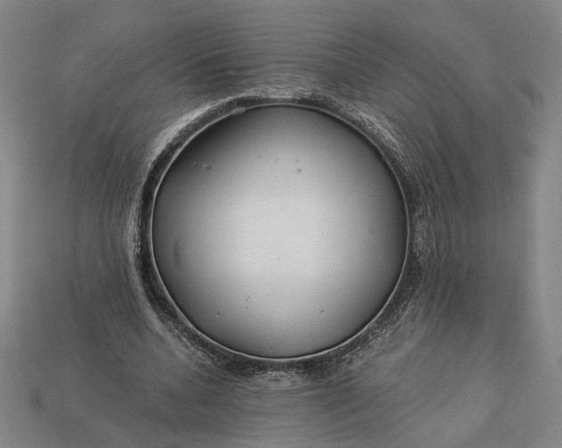 X0000112880536200909111445