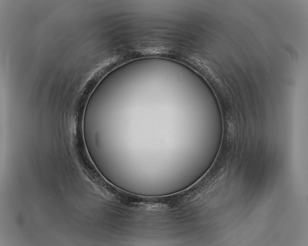 X0000112880539200909111445