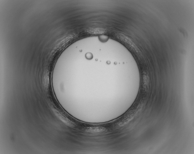 X0000112880541200909111445