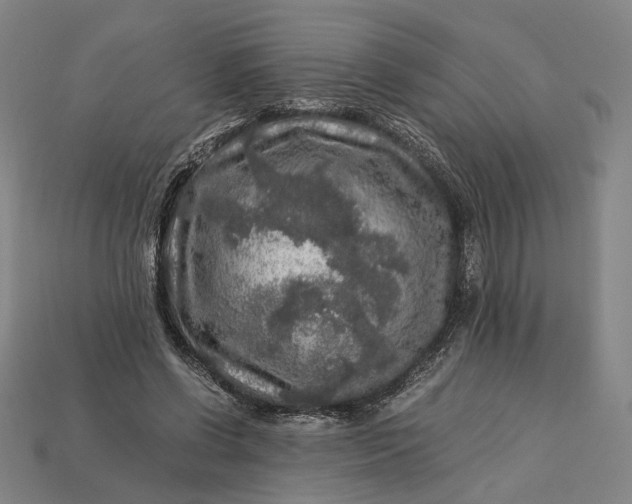 X0000112880542200909111445