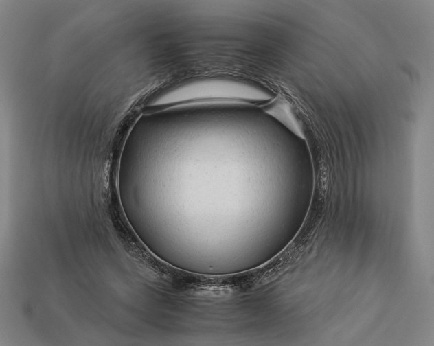 X0000112880543200909111445