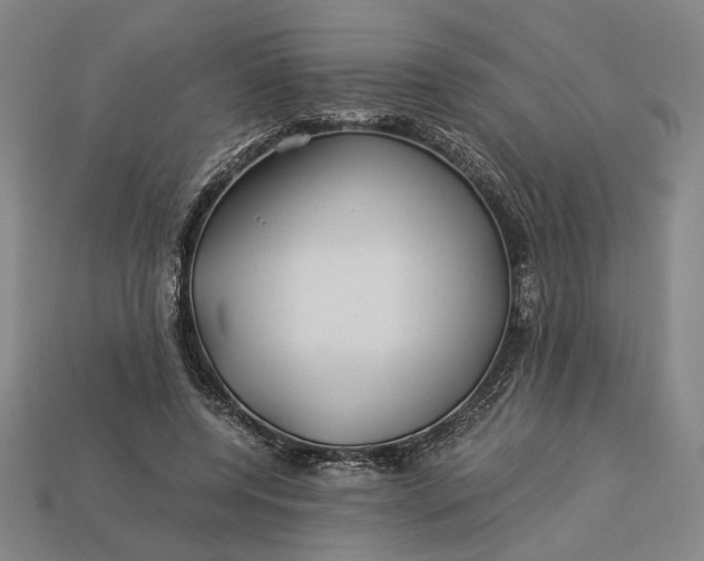 X0000112880544200909111445