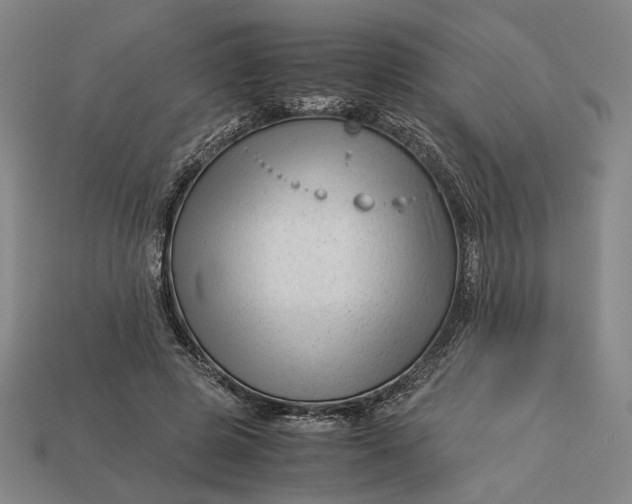 X0000112880545200909111445