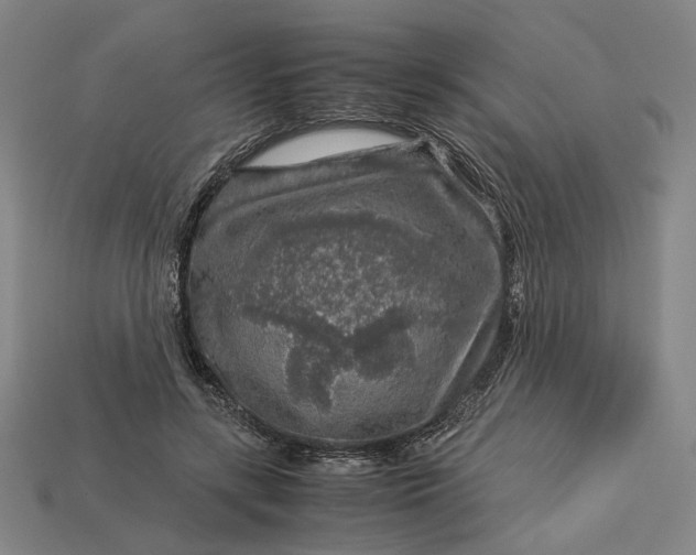 X0000112880547200909111445