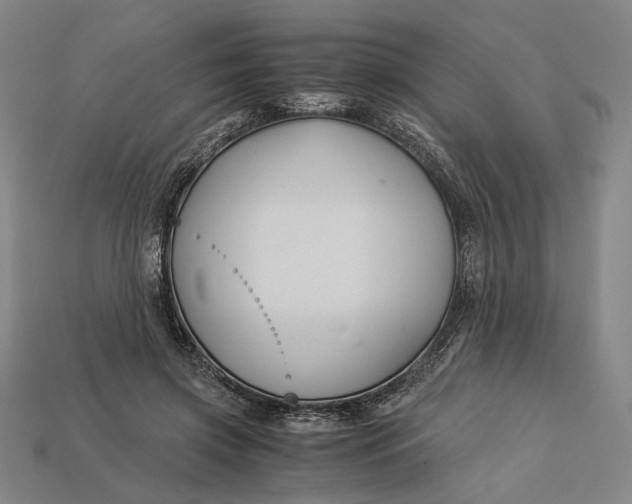 X0000112880549200909111445