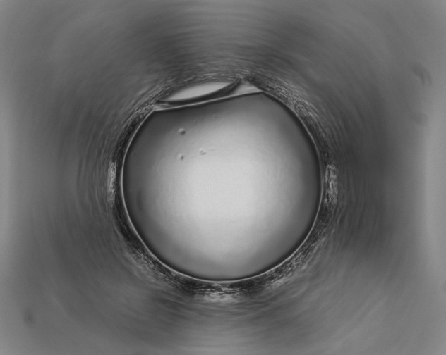 X0000112880550200909111446