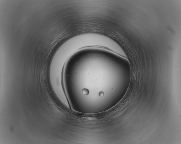 X0000112880552200909111446