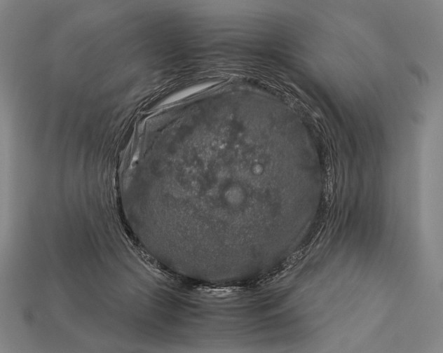 X0000112880553200909111446