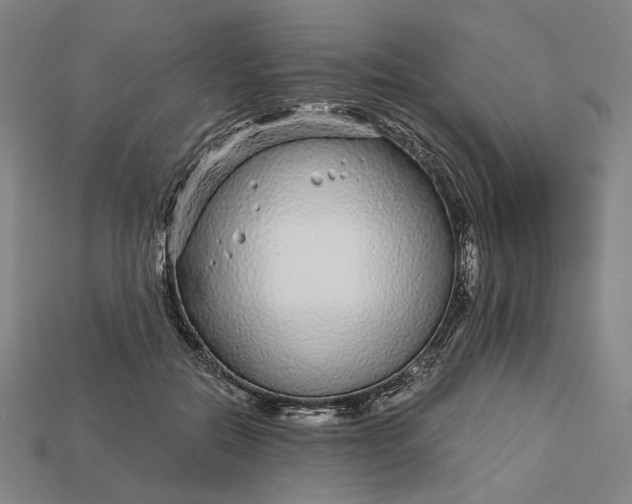 X0000112880554200909111446