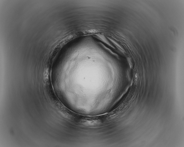 X0000112880555200909111446