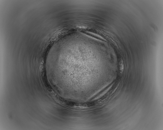 X0000112880559200909111446