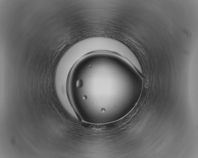 X0000112880560200909111446