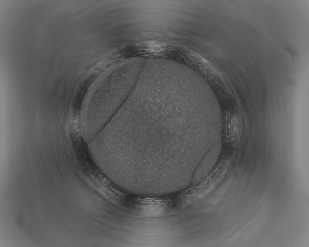 X0000112880562200909111446