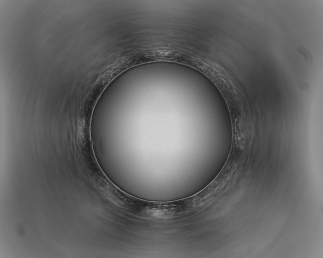 X0000112880563200909111446