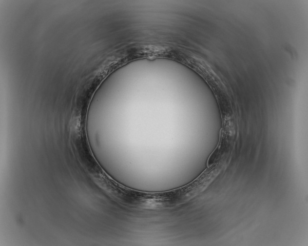 X0000112880564200909111446