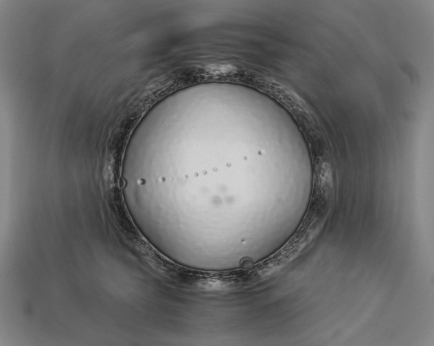 X0000112880565200909111446