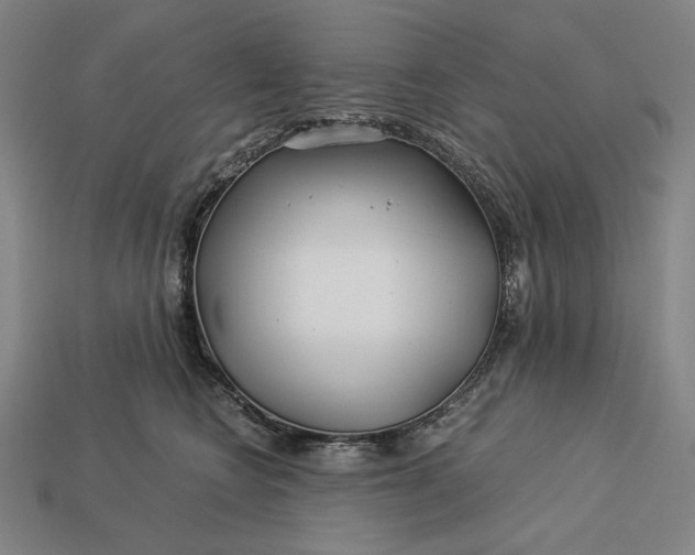 X0000112880566200909111446