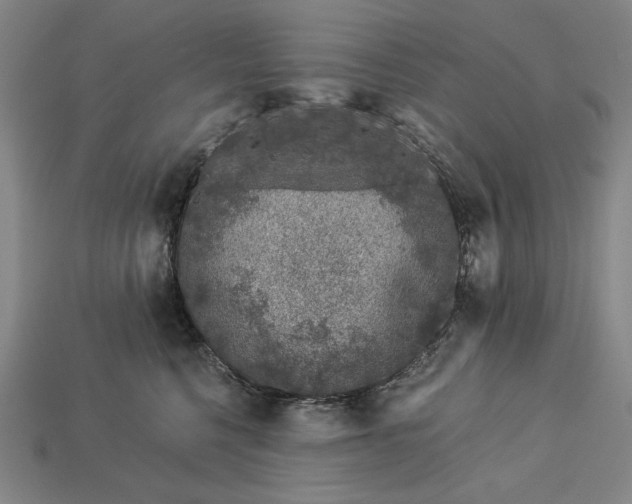 X0000112880568200909111446