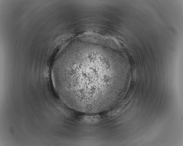 X0000112880571200909111446